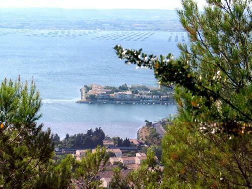 R�sidence Grand Bleu Vacances - Les Pescalunes