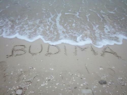 Hostal Guesthouse Budima