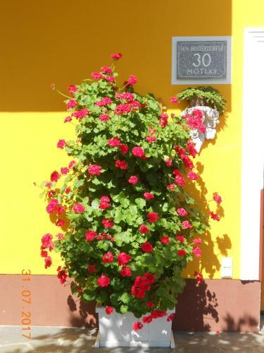 Apartamento Ferienwohnung Hinterdorfer