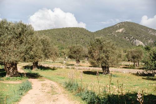 Agroturismo Finca Es Cabas