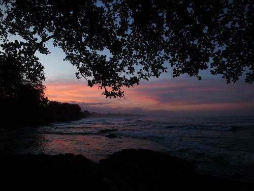 Lodge Cabinas Caribe Luna