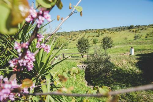 Agroturismo Cortijo Don Pablo
