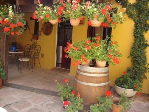 Agroturismo El Cuartelillo Viejo