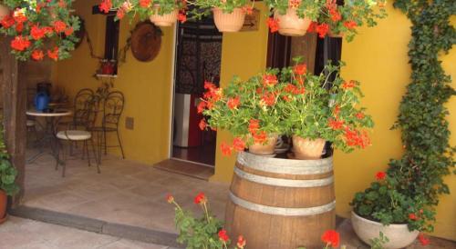 Agroturismo El Cuartelillo Viejo