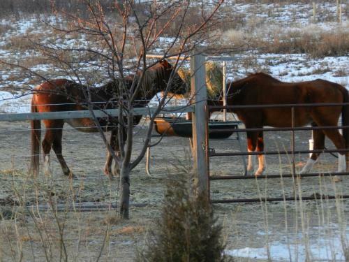 The Stone Gate Inn Bed & Breakfast