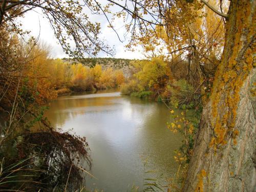 Agroturismo Casa Rural Pati�o