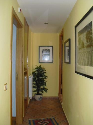 Agroturismo Casa Rural Pati�o