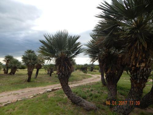 Agroturismo La Palmita