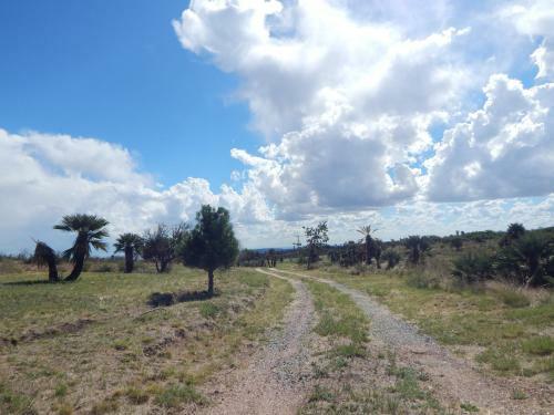 Agroturismo La Palmita