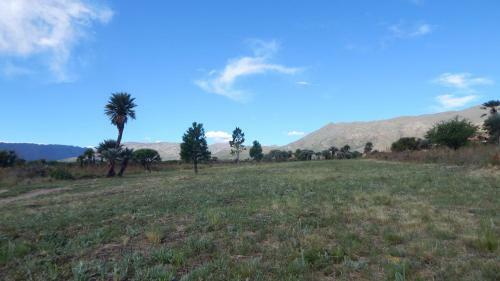 Agroturismo La Palmita