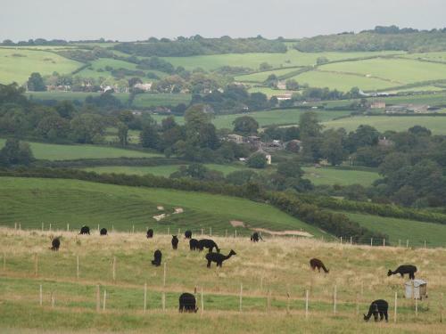 Amberley View