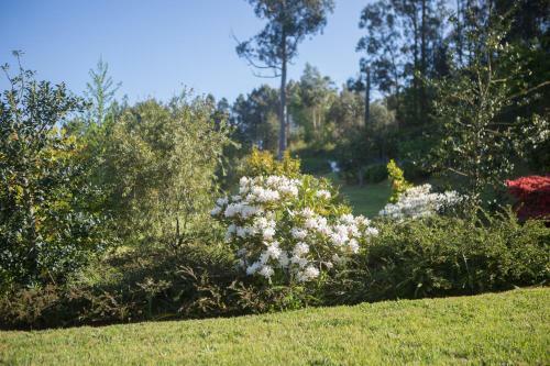 Agroturismo Casa Pi�eiro