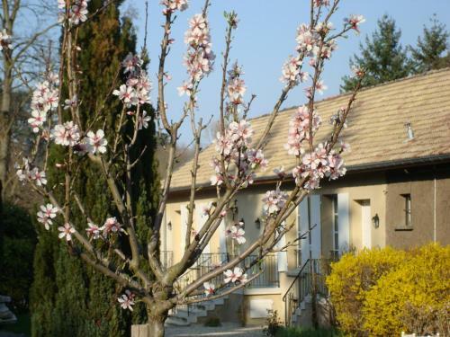 Apartamento Les Communs Du Manoir