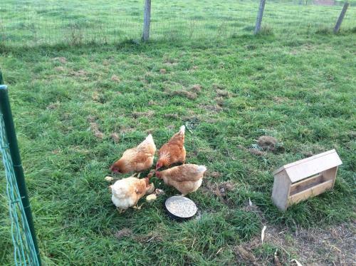 Bed & Breakfast Kunstmin