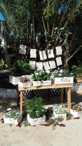 Agroturismo Huerto De La Luz