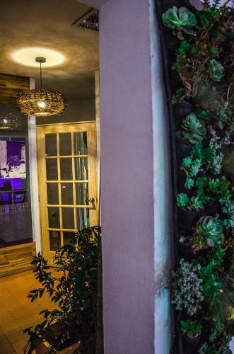 Hostal Cx Hostel