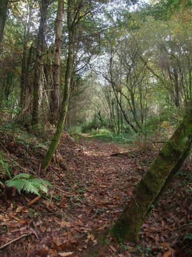 Agroturismo Pazo Da Cruz
