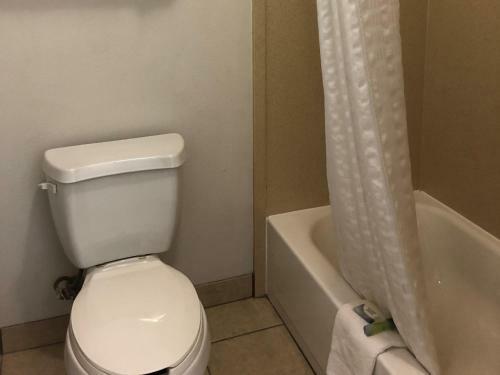 Motel Executive Inn And Suites Joaquin