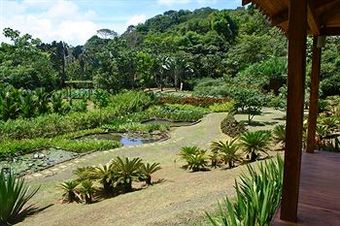 Macaw Lodge