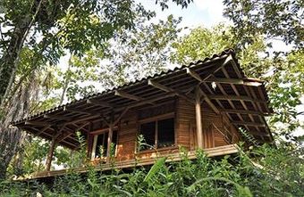 Macaw Lodge