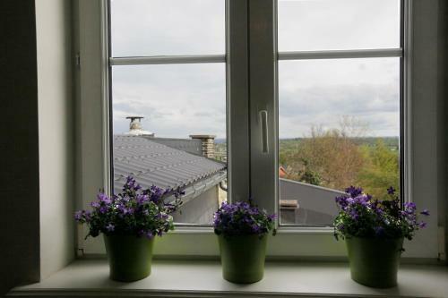 Apartamento Aux Herbes Folles