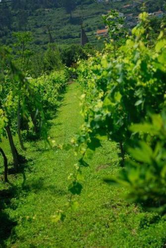 Quinta Do Mosteiro