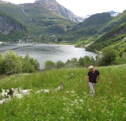 Apartamento Fjelltun Camping