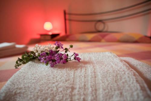 Red Rose B&B
