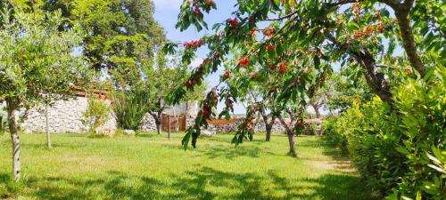 Red Rose B&B