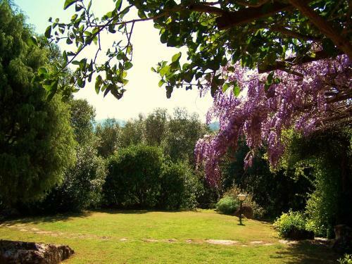 Apartamento Nurazzolas