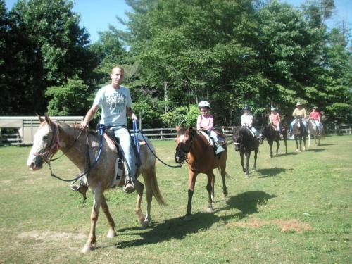 Hostal Arrowmont Stables & Cabins
