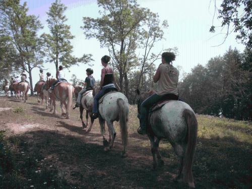 Hostal Arrowmont Stables & Cabins
