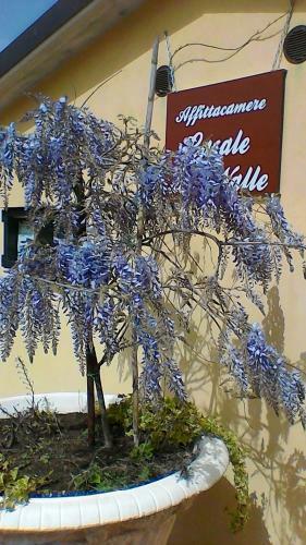 Agroturismo Casale Della Valle