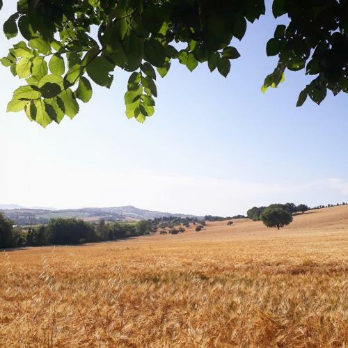 Agroturismo Valcastagno Relais