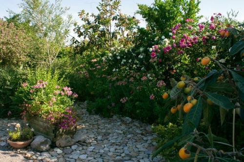 Bed & Breakfast Il Vecchioliveto Di Ornella