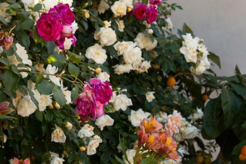 Bed & Breakfast Il Vecchioliveto Di Ornella