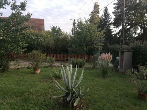 Hostal Goldschmiedt Vend�gh�z