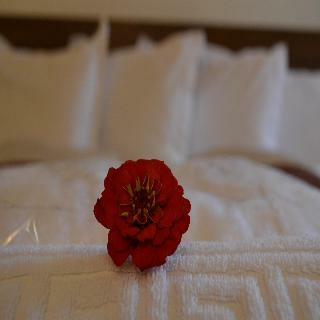Hotel Phoenicia Comfort