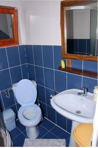 Hostal Pensiunea Doina