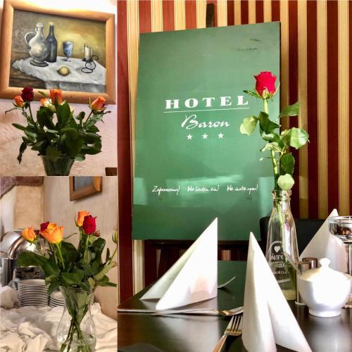 Hotel Baron