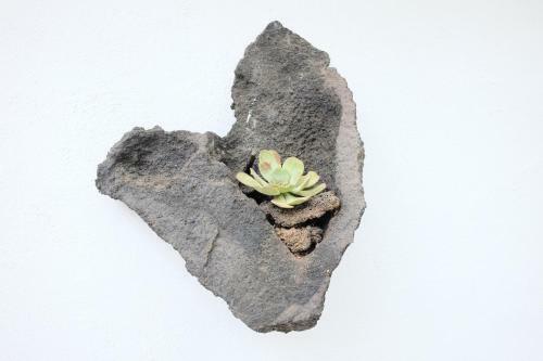 Apartamentos Finca Wapa