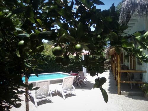 Albergue Hotel Swisspoint