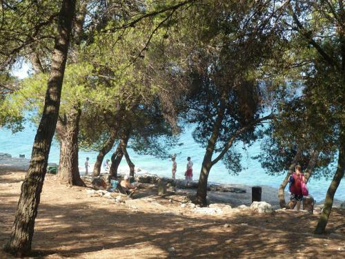 Aqua Camp Mobile Homes In Camping Brioni