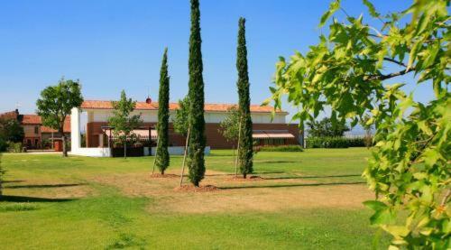 Hostal Agriturismo Letizia