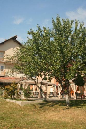 Hostal Pension Andronic