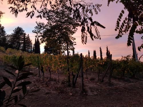 Agroturismo Villino Del Grillo