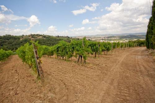 Agroturismo Villino Del Grillo