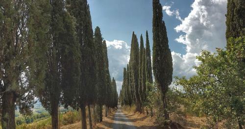 Agroturismo Villino Del Grillo