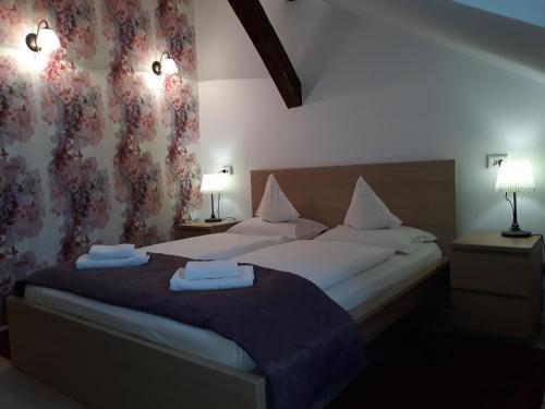 Hostal Pensiunea Casa Rusu