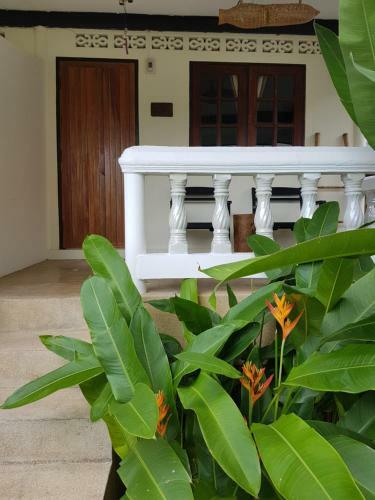 Hotel Visit Resort